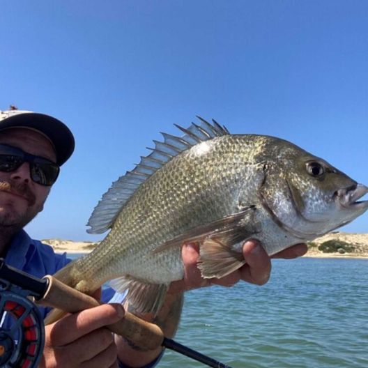 The Flyfisher's Podcast - Episode 20 - Victorian Bream Fishing with Kiel Jones