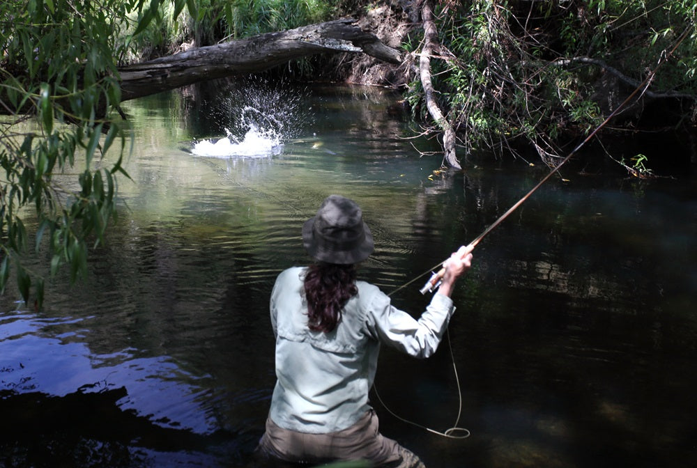 Learn to Fly Fish The Flyfisher