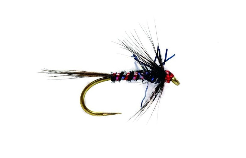 RS Nemo Black — The Flyfisher