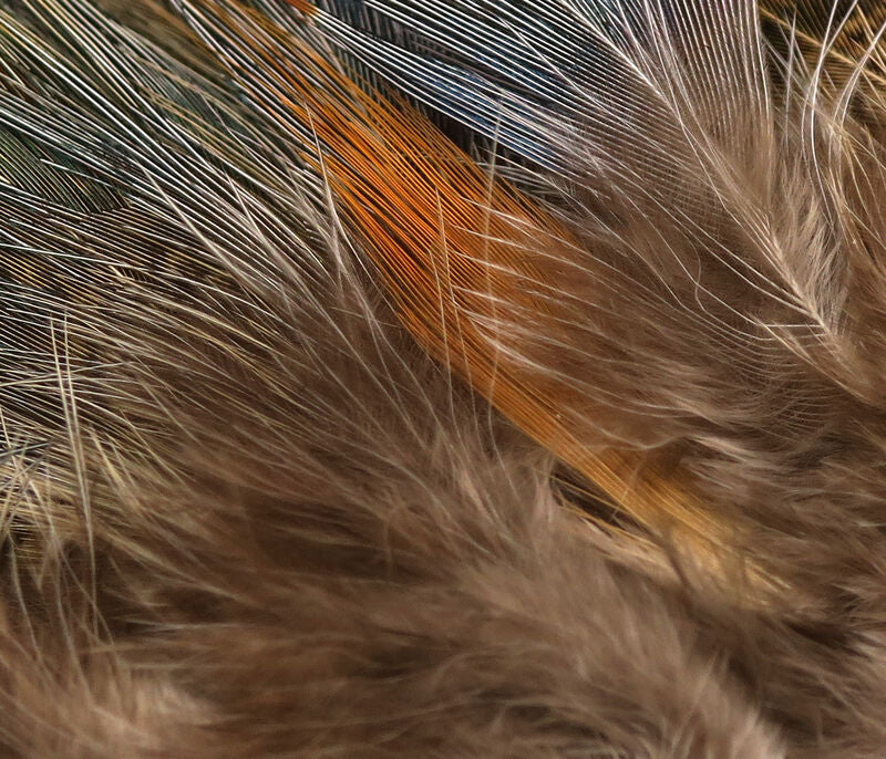 Hareline Strung Ringneck Rump Feathers Natural