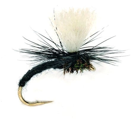 black-klinkhammer-trout-fly — The Flyfisher