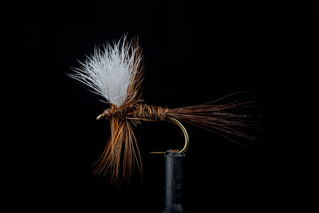 Royal Wulff - Fly Fishing Gear & Fly Fishing Australia