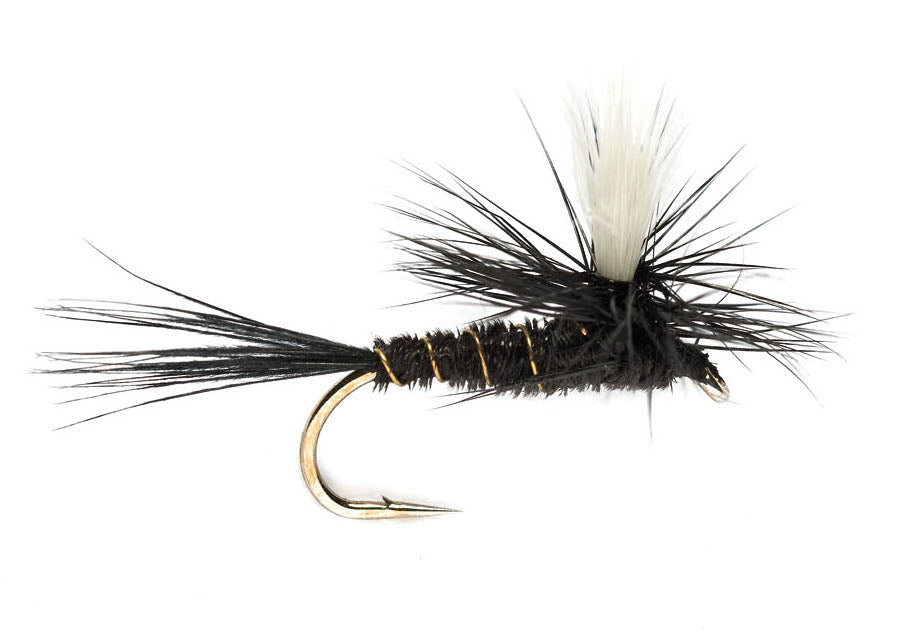Griffiths Gnat Midge Dry Fly pattern for trout fishing