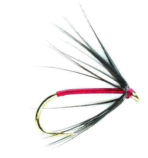 Black Spider Fly Australia - Buy Dry Trout Fishing Fly — The Flyfisher