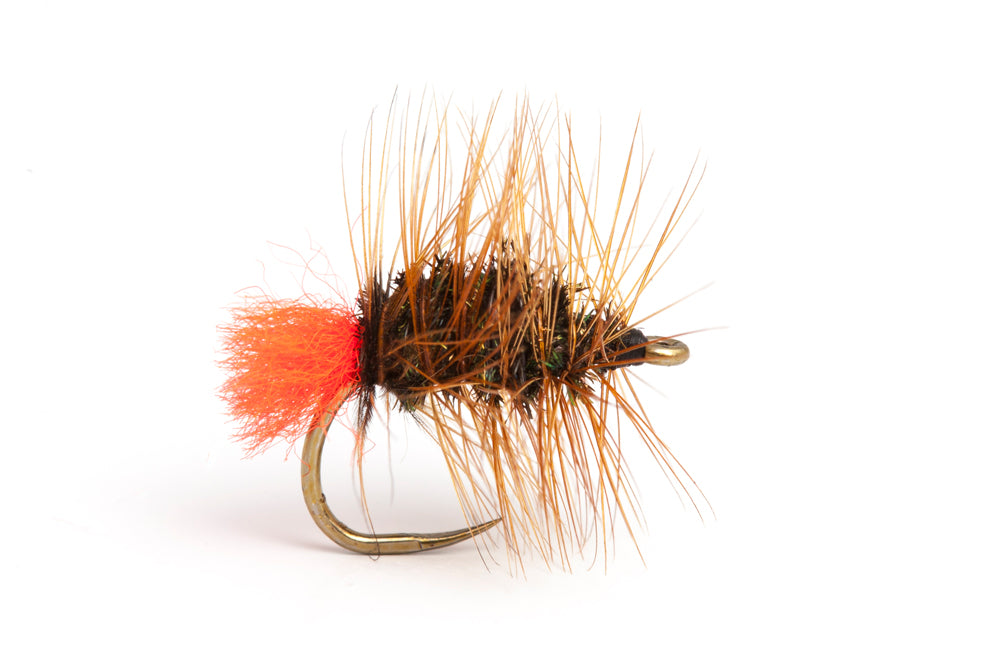 Palmered Orange Tag — The Flyfisher