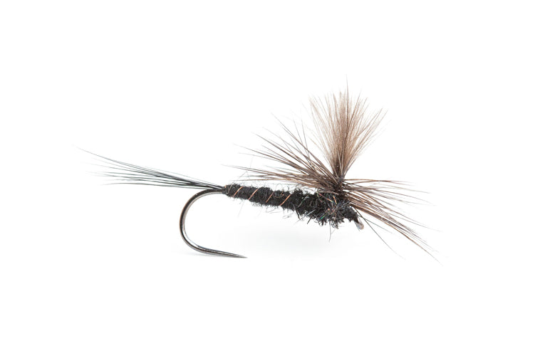 christopher-bassano-orange-spinner-trout-fly — The Flyfisher