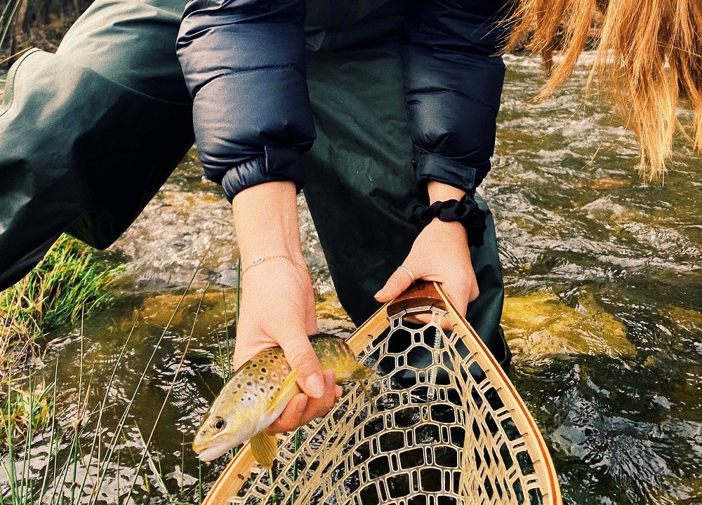 A first on the Fly 