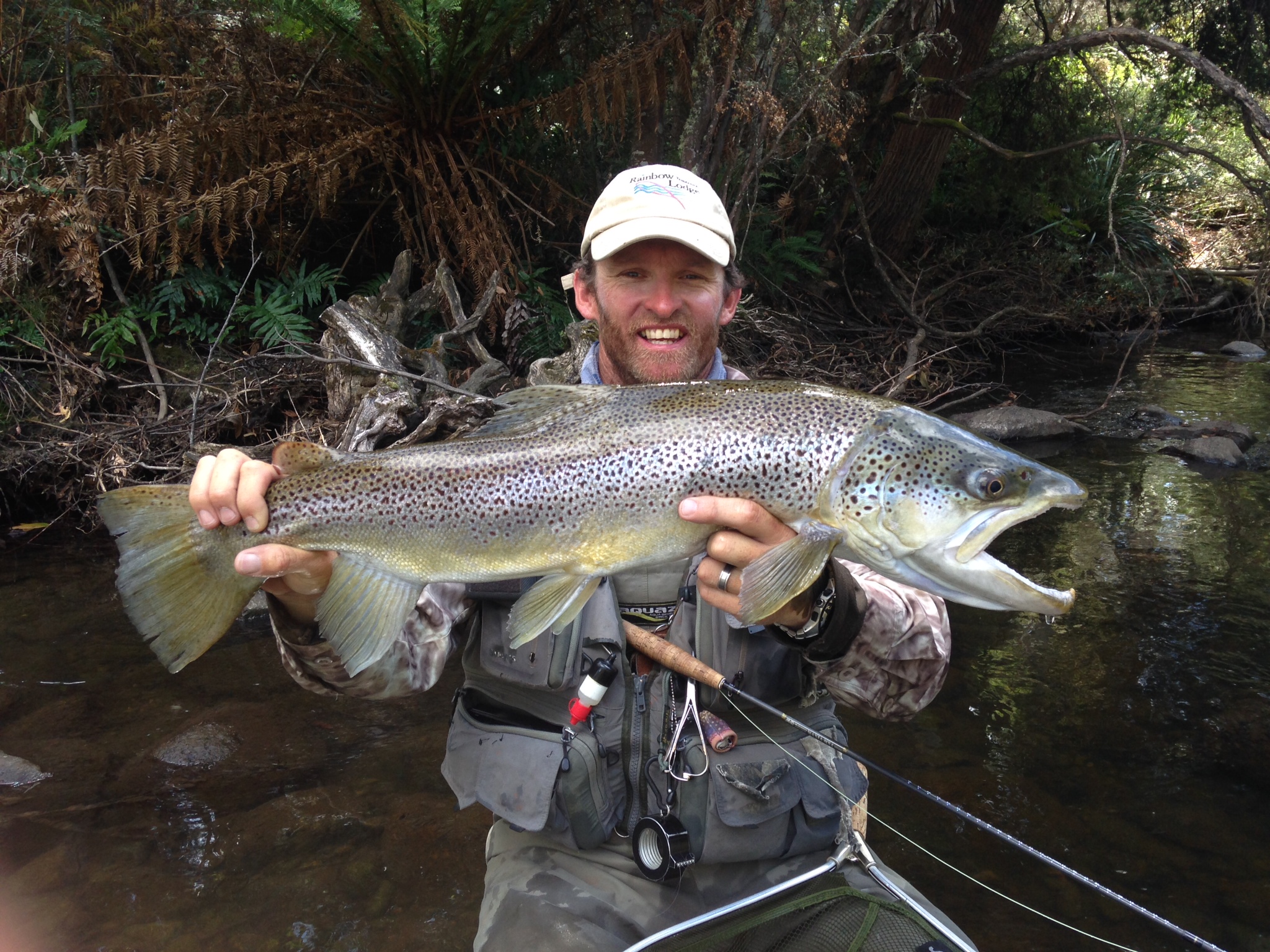 Tasmania midsummer update - rainbow lodge 