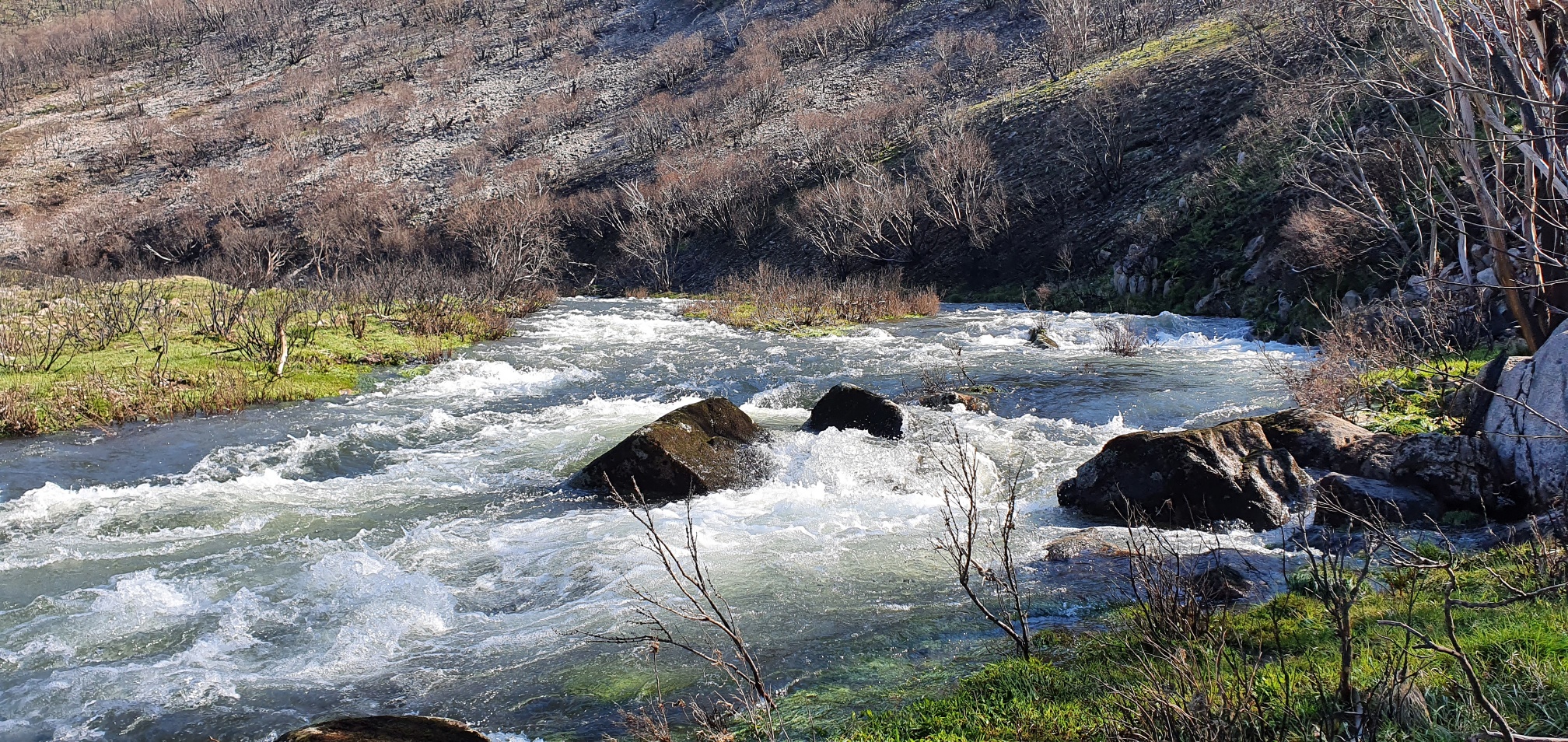 Snowies river opening update