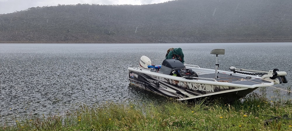 Snowy Lakes - Early Summer Update