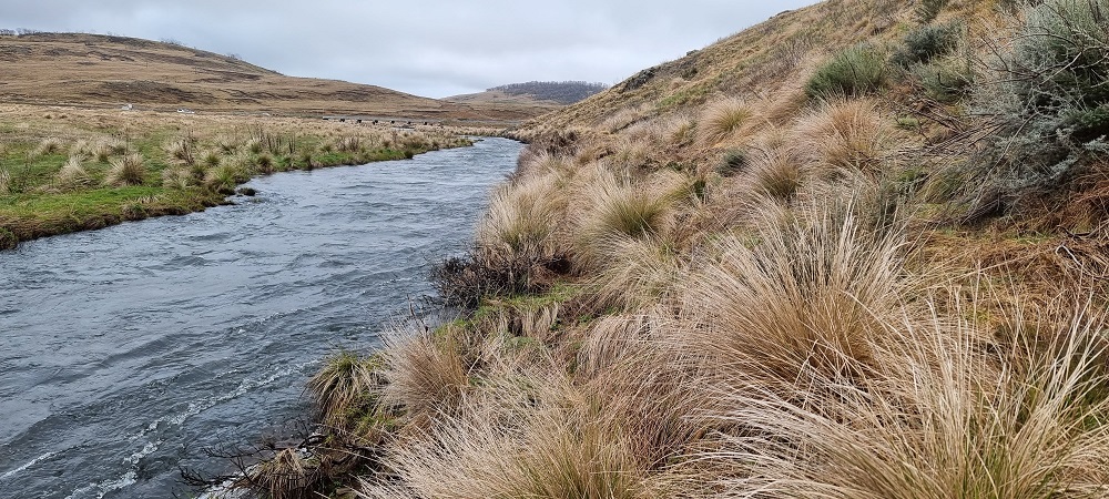 Snowy Mountains River Opening