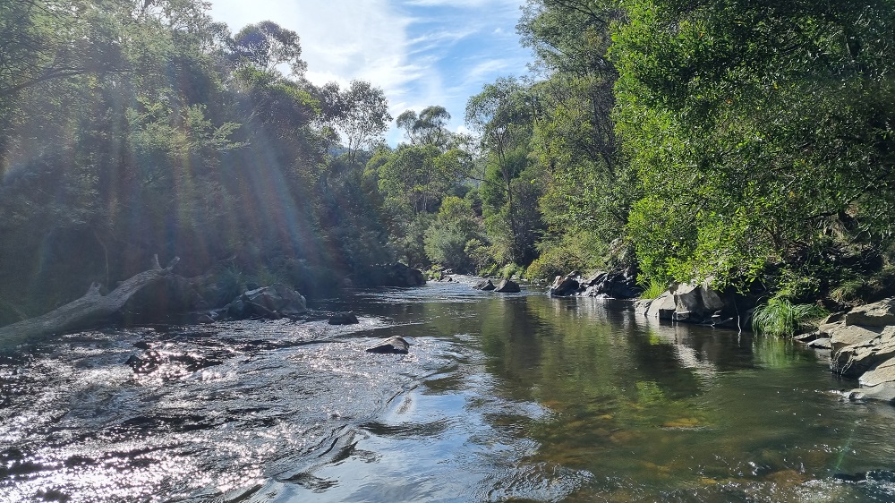 Mitta Mitta – above, below and around