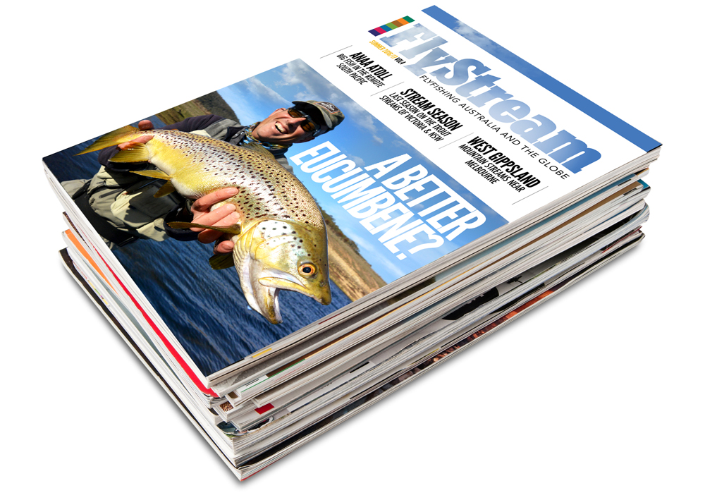 Issue 13 Out Now