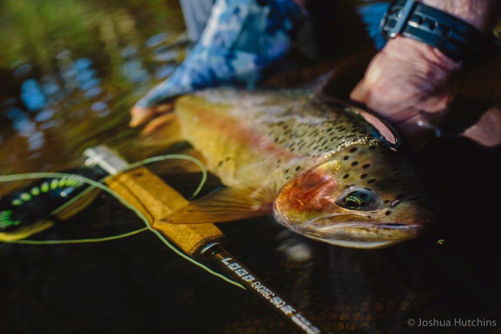 Season Opener, Central-West NSW
