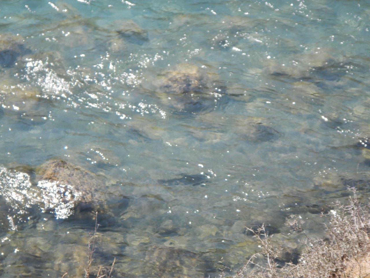 North of the South Island - mid october 
