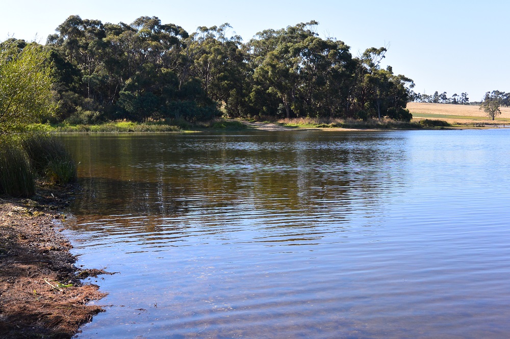 Central Vic Lakes Update