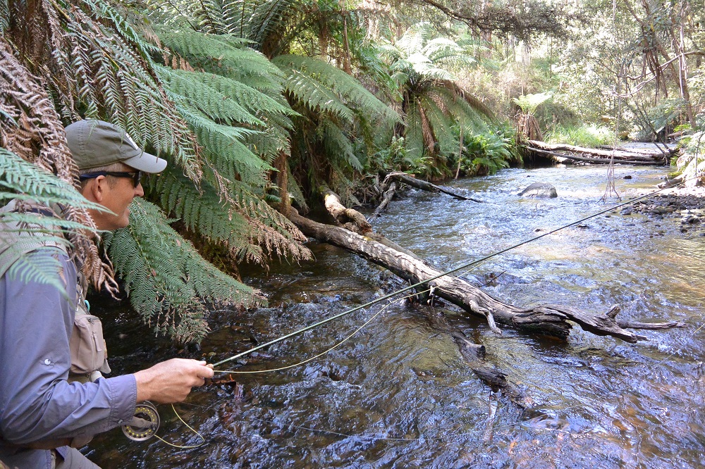 Small stream redemption