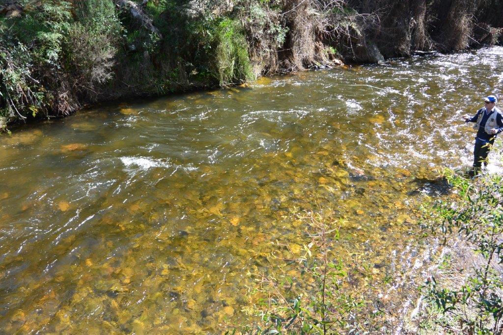 September day on the Mid Goulburn and Tributaries