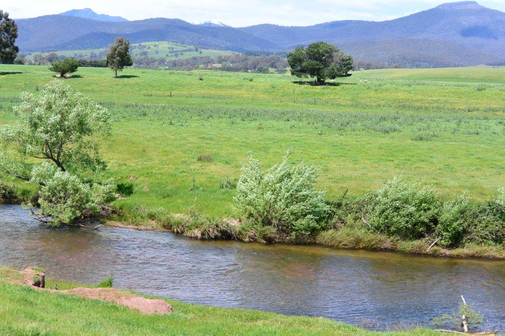 Talk Wild Trout – on and off the water