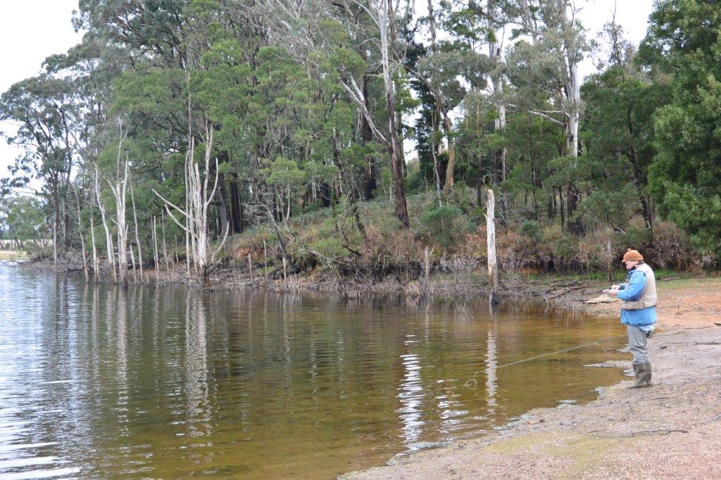 Moorabool and Winter Midges