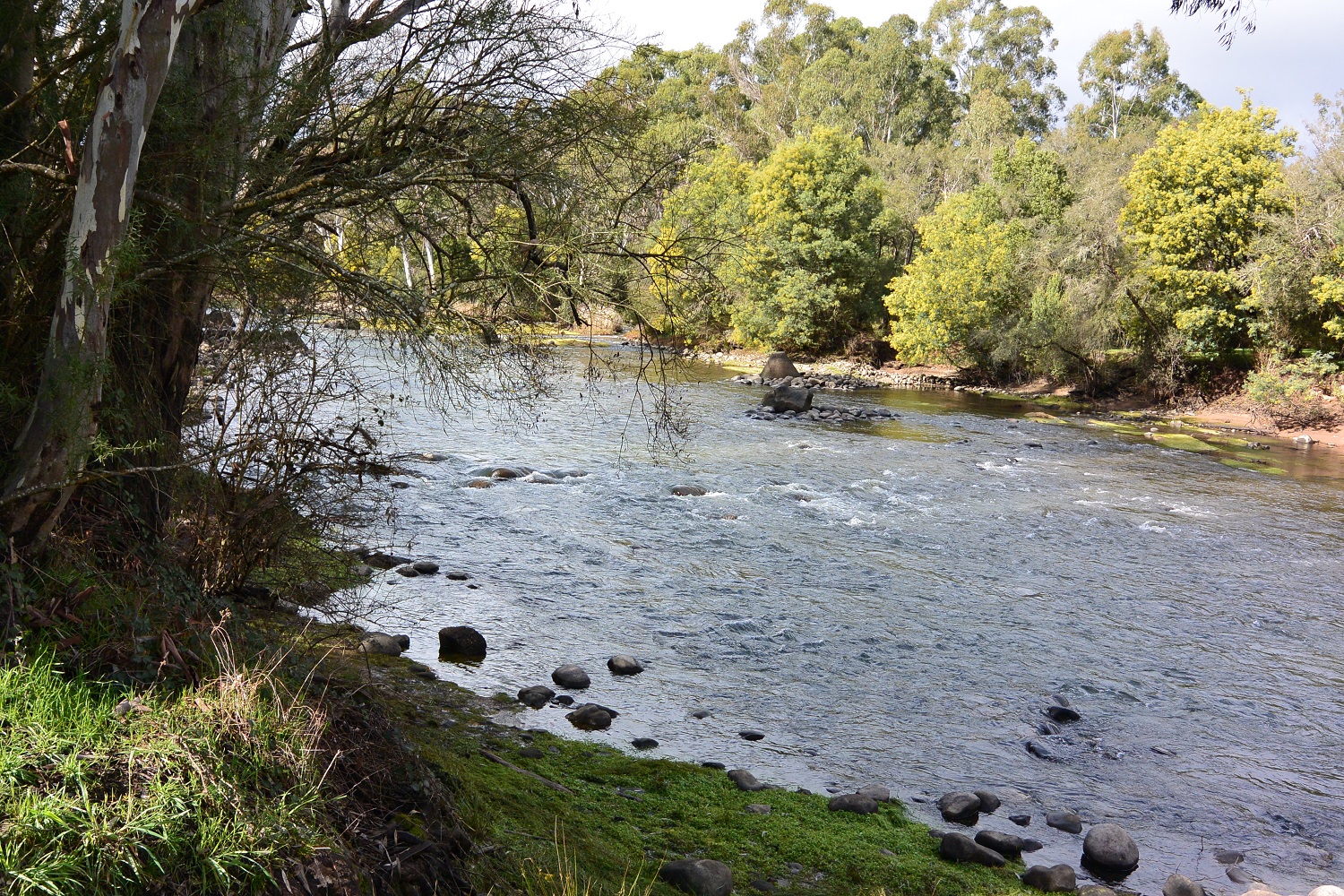 Some very good news from the Goulburn