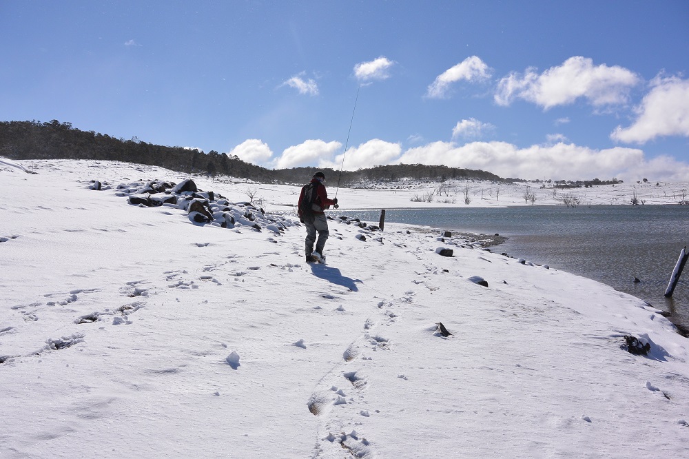 The Cold Factor