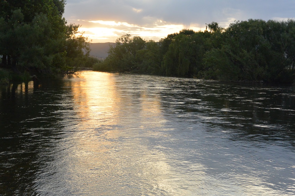 The Evening Rise