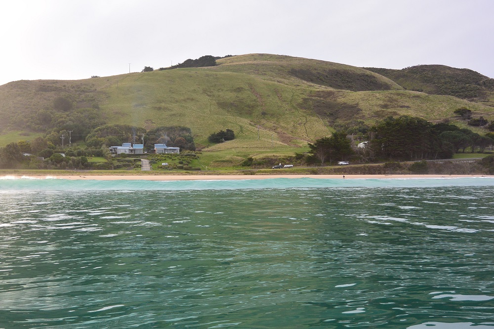 Bream & Salmon Season on the West Coast