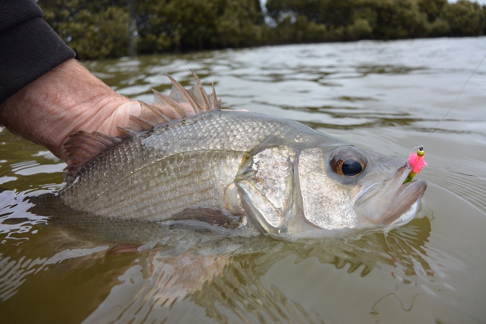 South Gippsland Estuaries