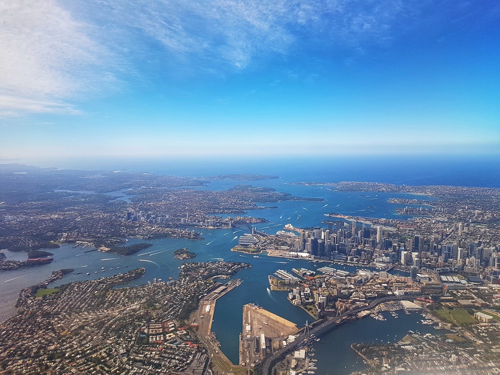 Sydney Harbour Flyfishing Update - Mid autumn 2019