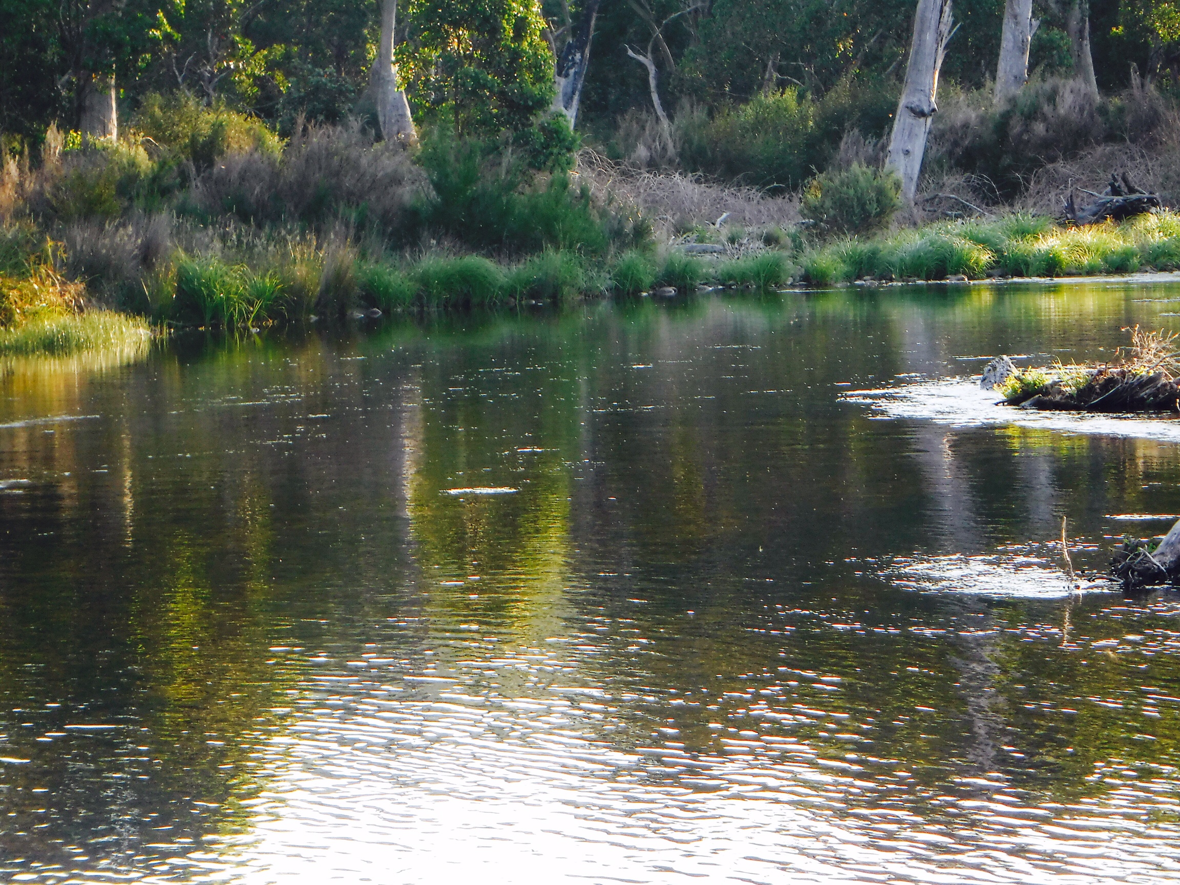 Back to the Mitta Valley
