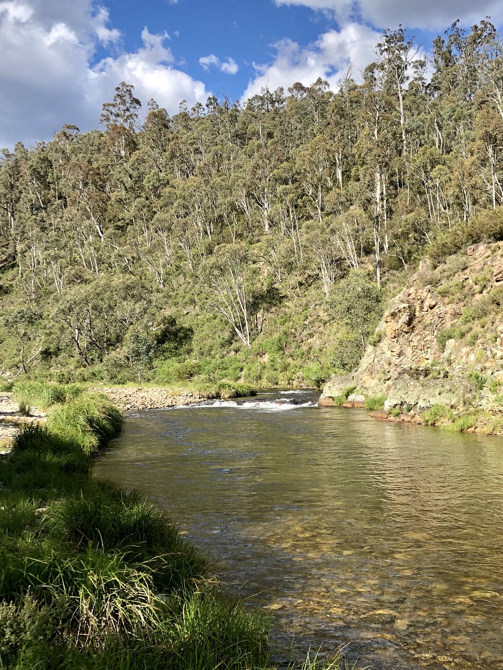 The upper Mitta Mitta – Finally!