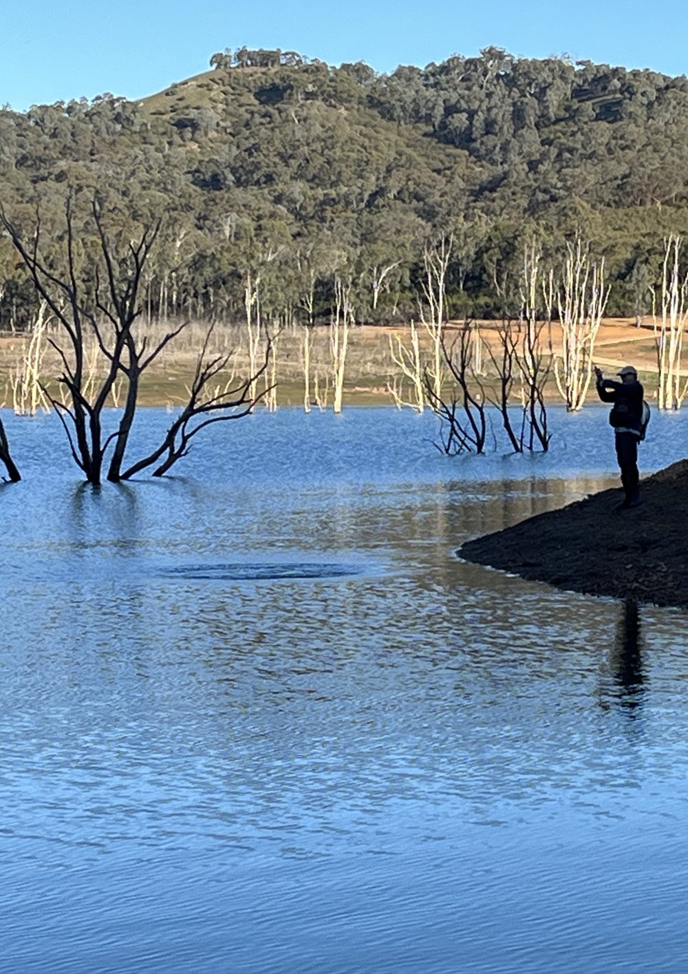 Lake Eildon's Winter Smelters