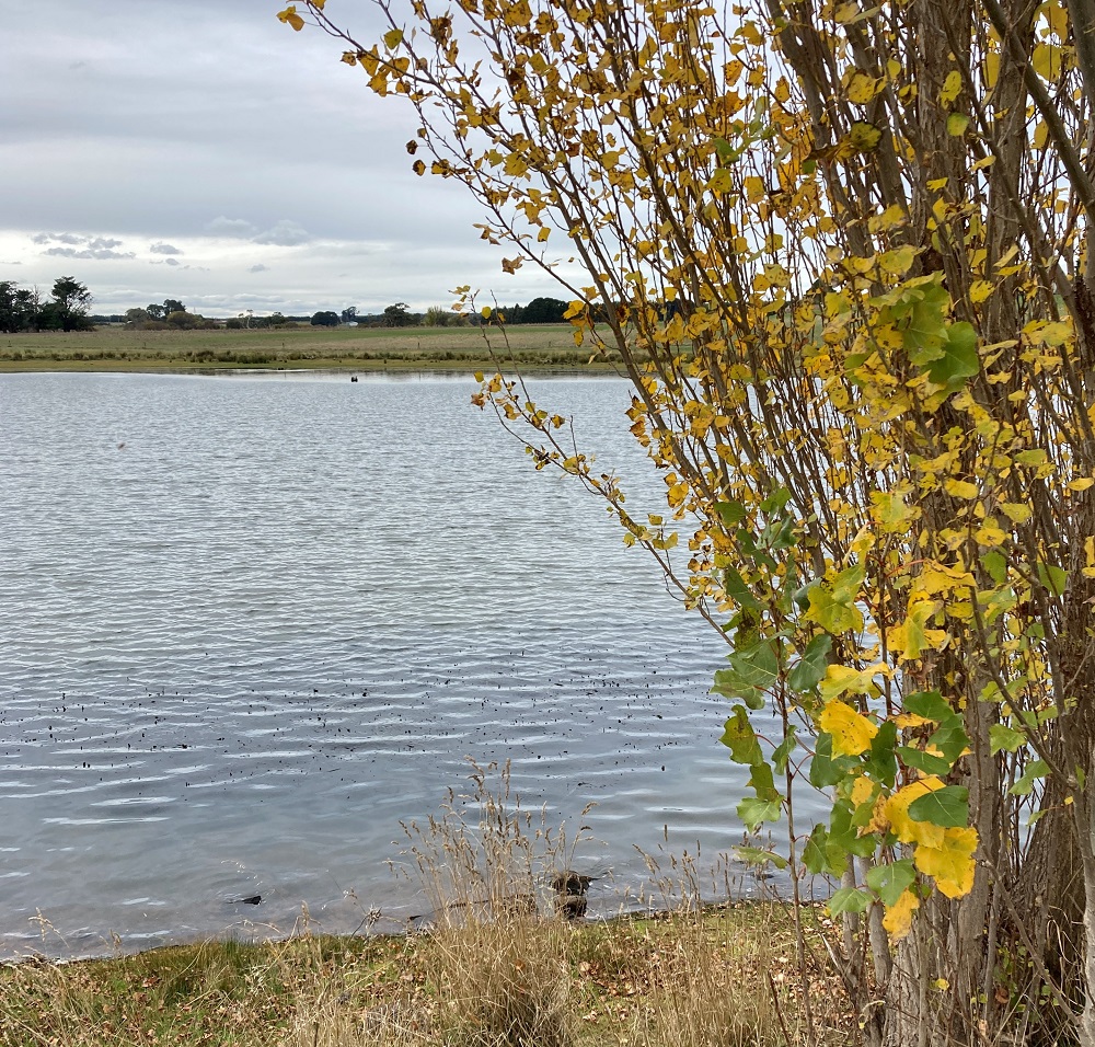 Ballarat Lakes Late Autumn Update