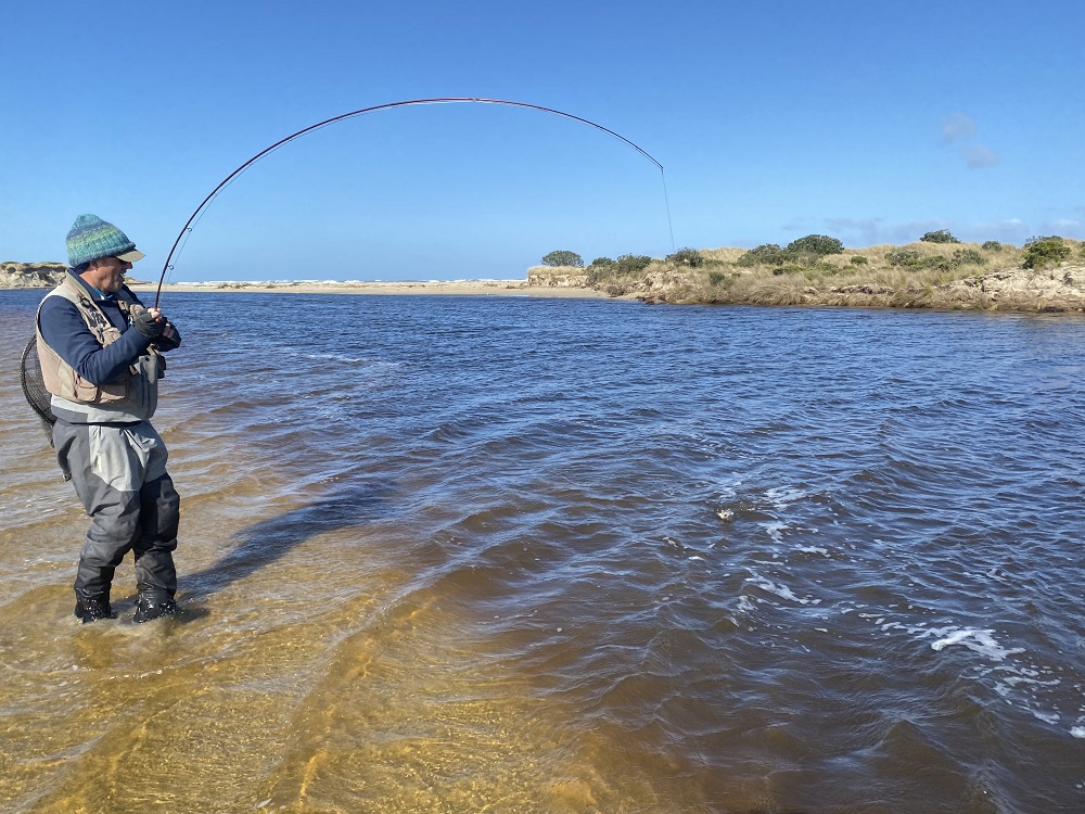 Wins and losses in south-west Victoria