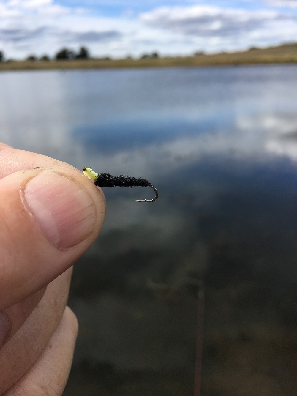 Scintilla Stick Caddis – Easy and Irresistible