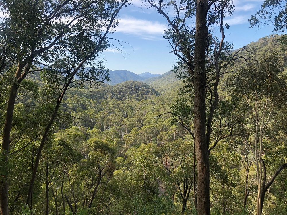 Back to North-east Victoria