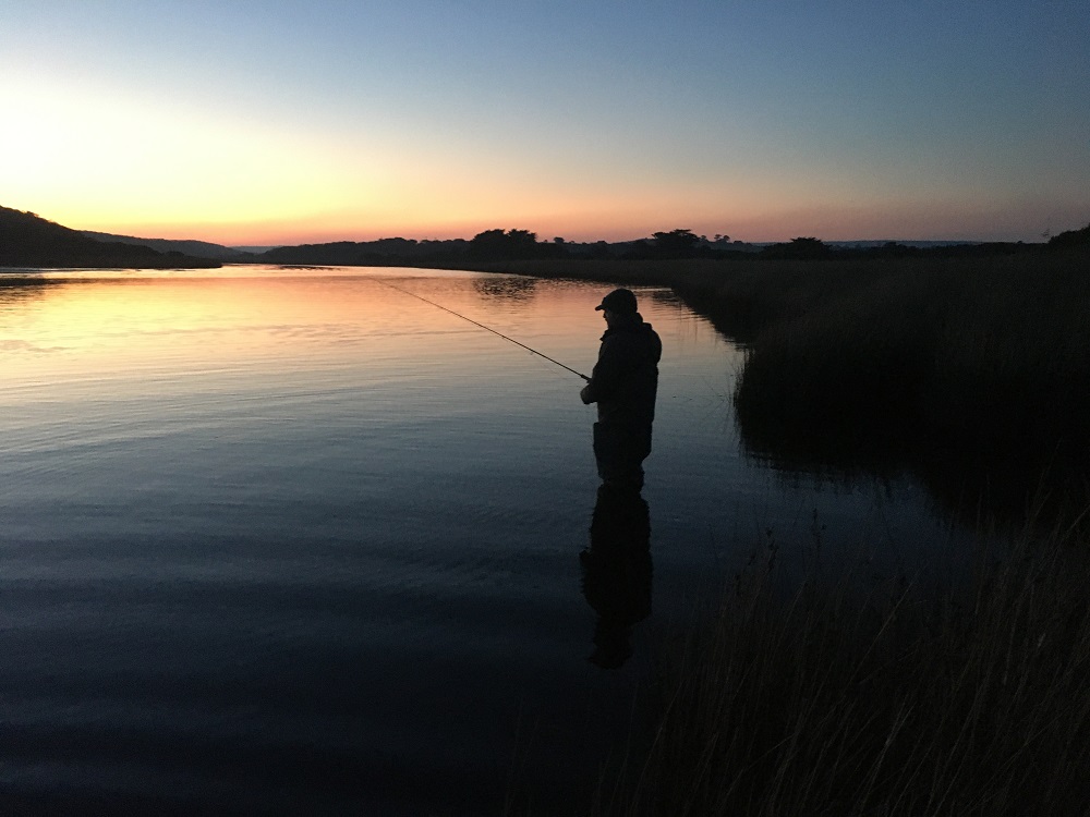 Big Waves and Estuary Perch