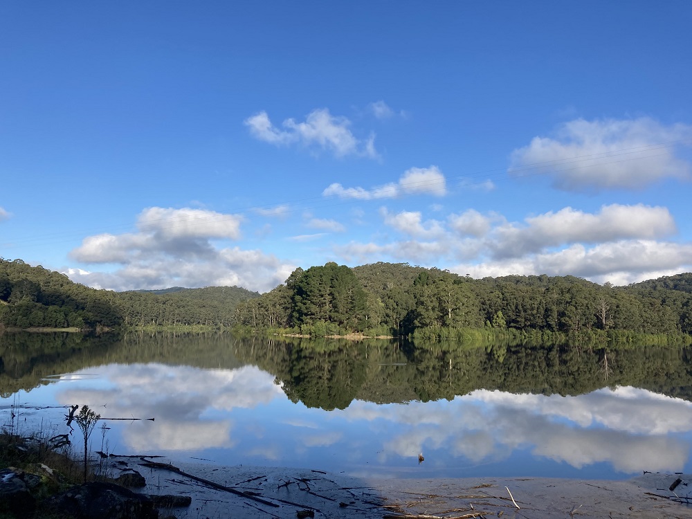 June Reflections