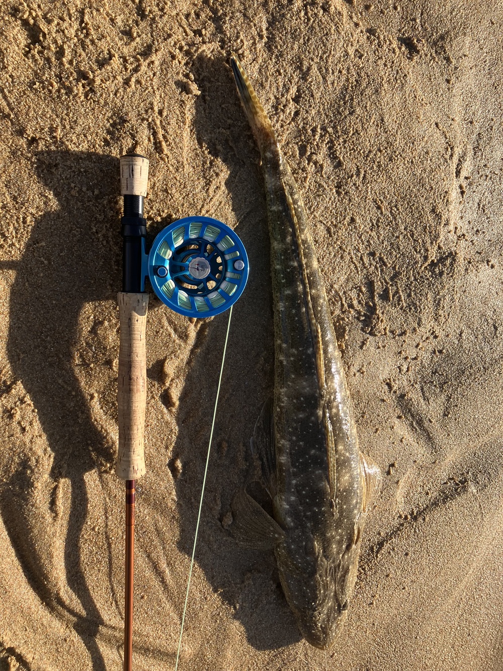 The Sapphire Coast Challenge