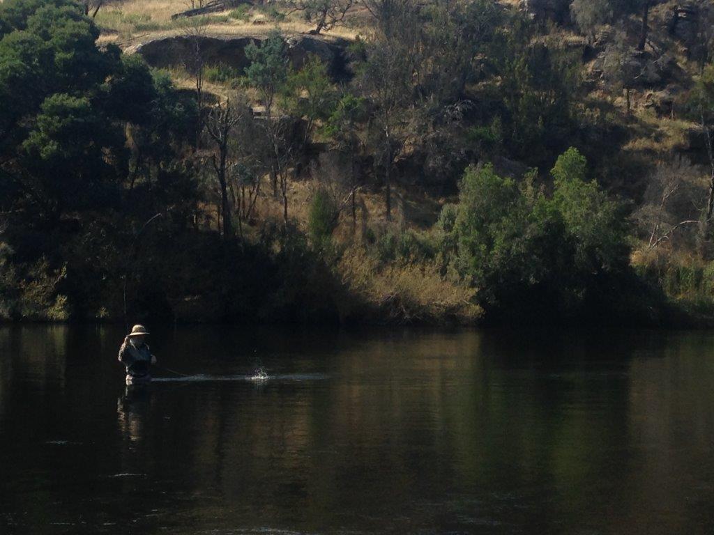 Tasmania in March