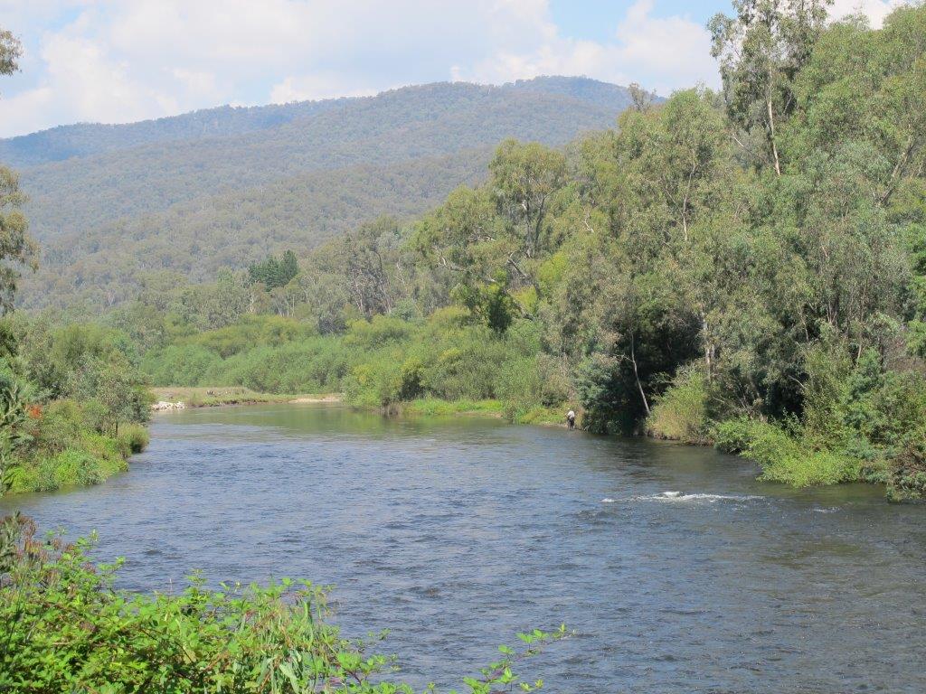 Mountain River Autumn
