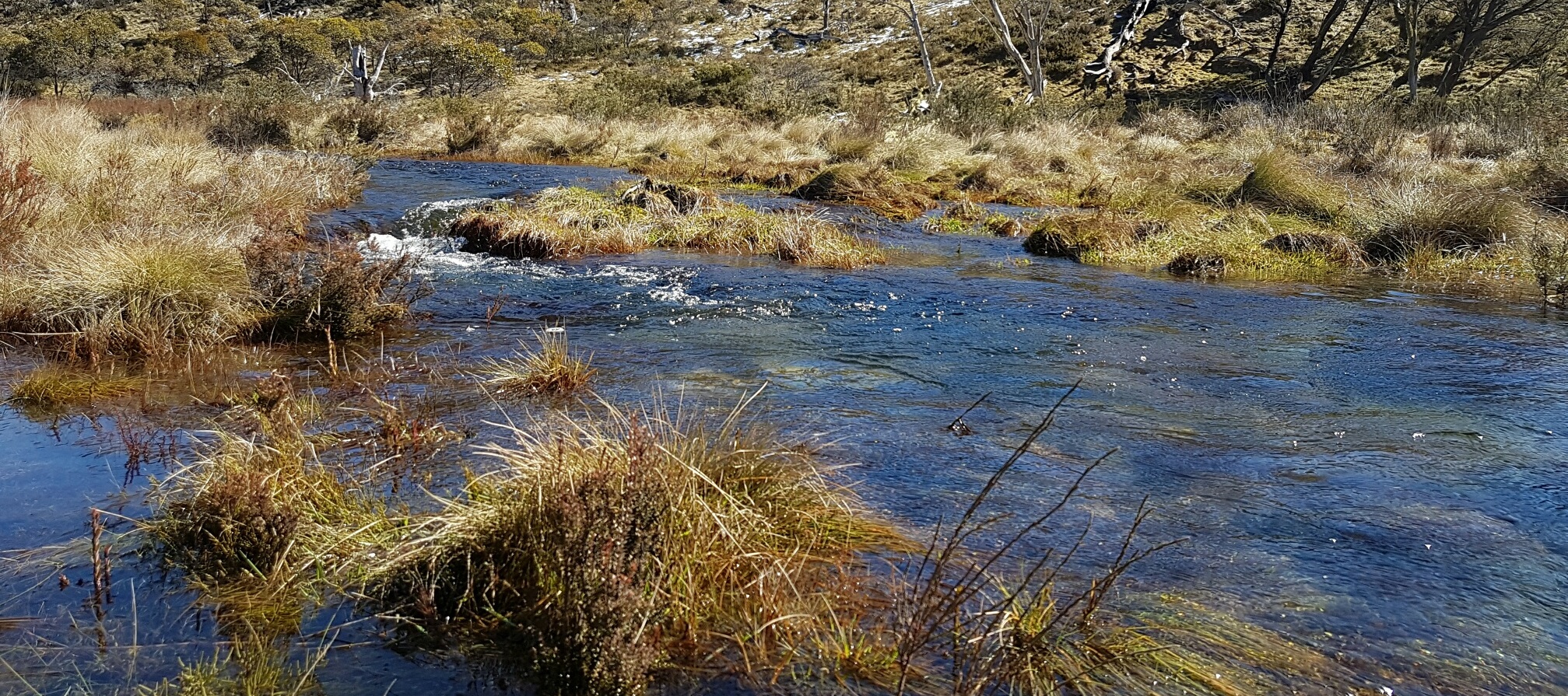 Snowy Mountains River-Opening