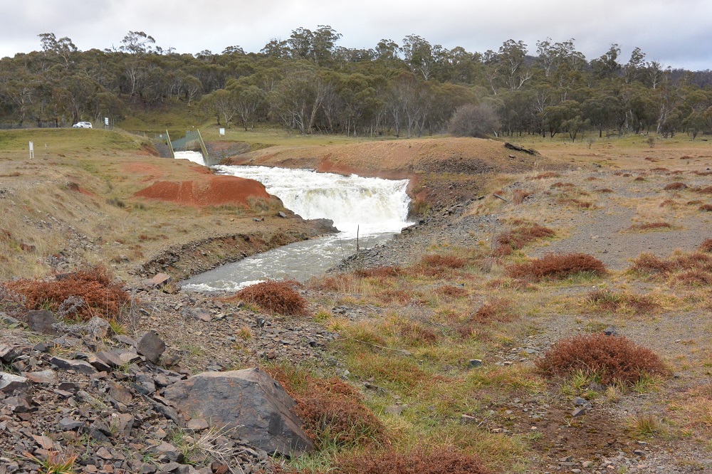 Snowy 2.0 - $5 million for new trout grow-on facility