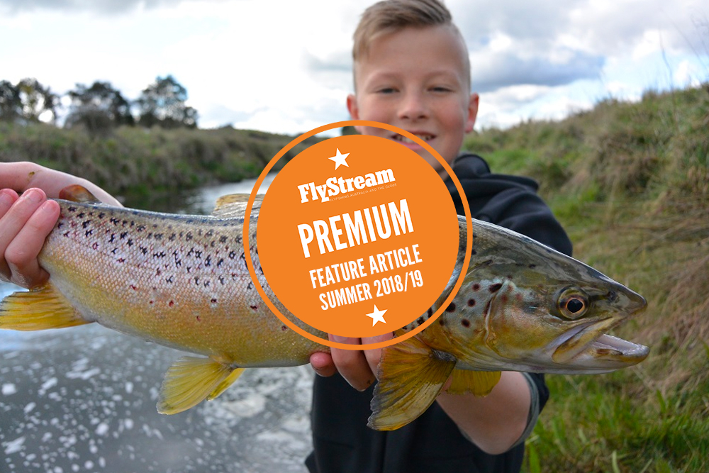 Dry Fly Tune-up