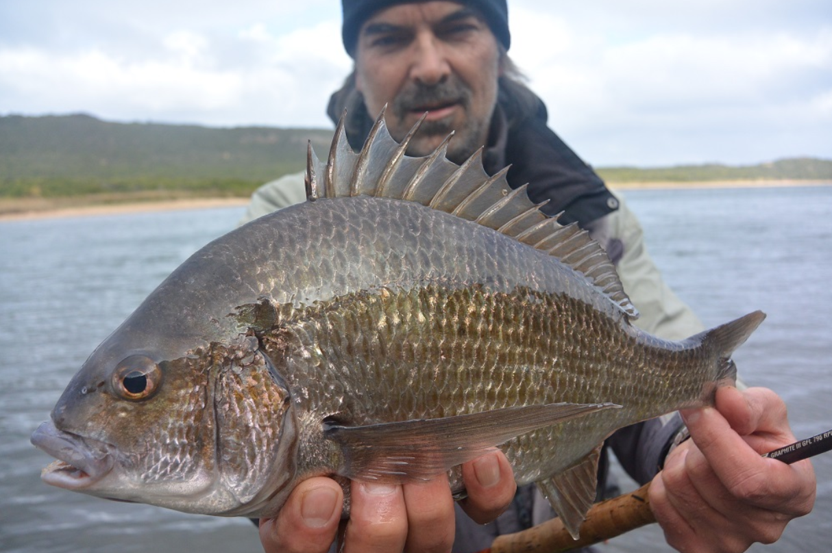 The Flyfisher's Podcast - Episode 26 - Meet the Team