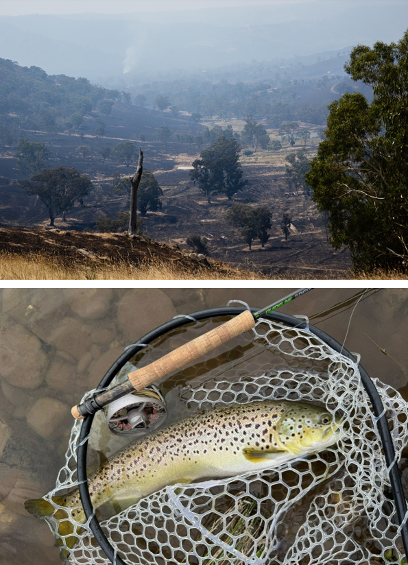 Longwood fire: Goulburn catchment fishing update