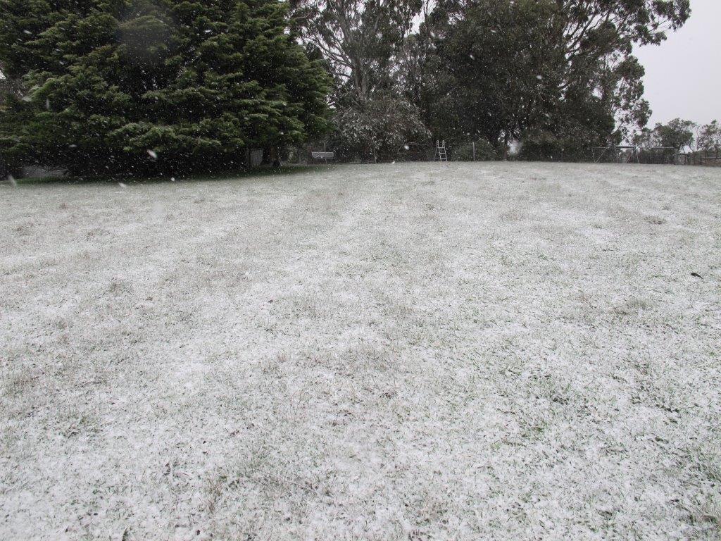 Snow unexpected