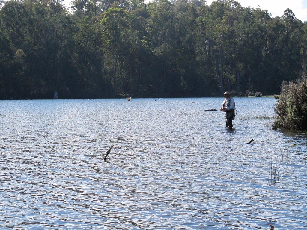 Chances Missed, Chances Taken in Tasmania