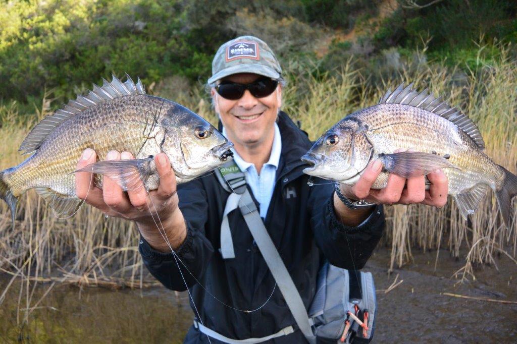 Bream, and a final stream trout